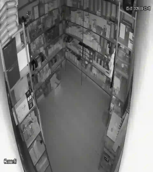 Caméra IP - Bolivien