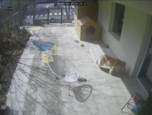 Caméra IP - South Korea