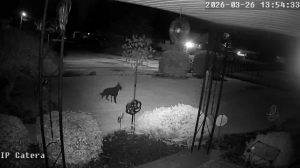 Caméra IP - United States of America