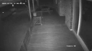 Caméra IP - South Korea