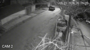 Caméra IP - Bulgaria