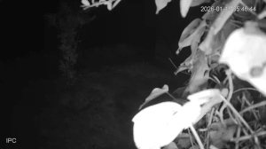 Caméra IP - Portugal