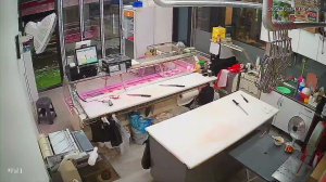 Caméra IP - South Korea