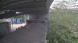 Caméra IP - Vietnam