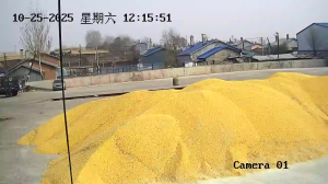 Caméra IP - Chine