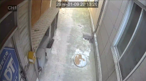 Caméra IP - South Korea