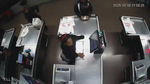 Caméra IP - Afrique du Sud