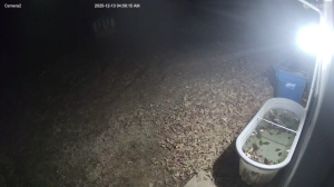 Caméra IP - États-Unis d'Amérique