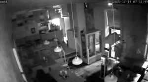 Caméra IP - Russian Federation