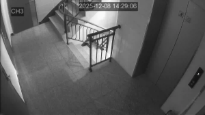 Caméra IP - South Korea