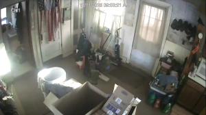 Caméra IP - États-Unis d'Amérique