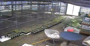 Caméra IP - República de Corea