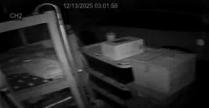 Caméra IP - Vereinigte Staaten von Amerika