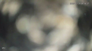 Caméra IP - Vietnam