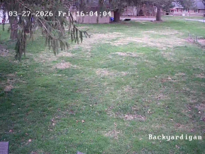 Caméra IP - Estados Unidos