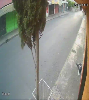 Caméra IP - México