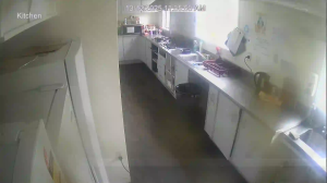 Caméra IP - Nouvelle-Zélande