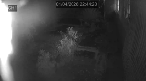 Caméra IP - Südafrika