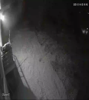 Caméra IP - Turquie