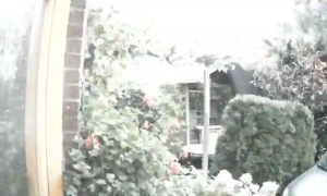 Caméra IP - Niederlande
