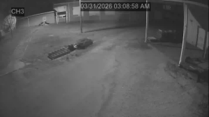 Caméra IP - Estados Unidos