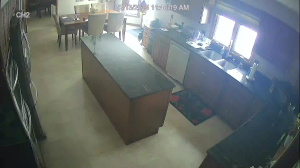 Caméra IP - Estados Unidos