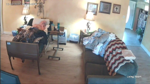 Caméra IP - United States of America