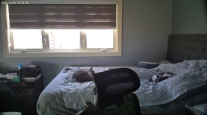 Caméra IP - United States of America