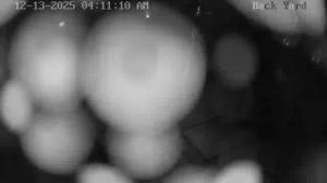 Caméra IP - États-Unis d'Amérique