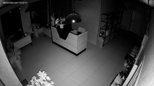 Caméra IP - Russian Federation