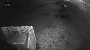 Caméra IP - États-Unis d'Amérique