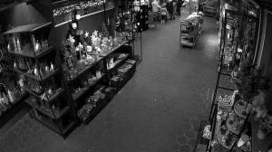 Caméra IP - Germany