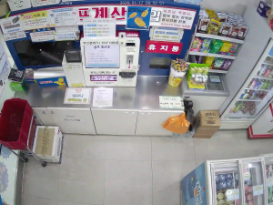 Caméra IP - South Korea