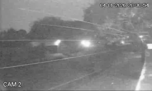 Caméra IP - Südafrika