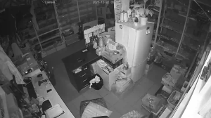 Caméra IP - Russian Federation