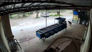 Caméra IP - Türkiye