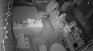 Caméra IP - United States of America