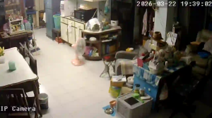 Caméra IP - Thailand