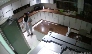 Caméra IP - Vereinigte Staaten von Amerika