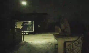 Caméra IP - Alemania