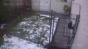 Caméra IP - Germany