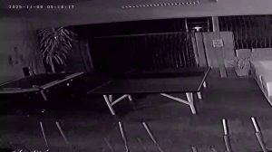 Caméra IP - Denmark