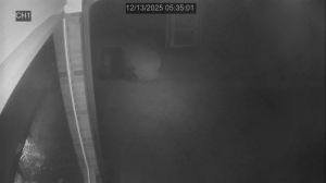 Caméra IP - États-Unis d'Amérique