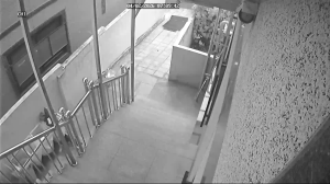 Caméra IP - Corée du Sud