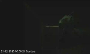 Caméra IP - Nueva Zelanda