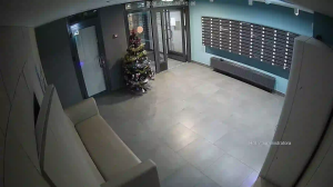 Caméra IP - Russian Federation