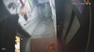 Caméra IP - Afrique du Sud