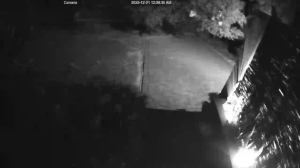 Caméra IP - Südafrika