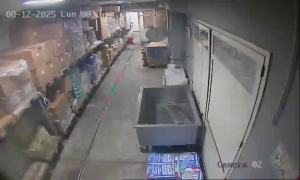 Caméra IP - Italien