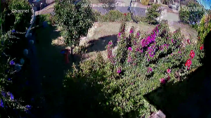 Caméra IP - Australia